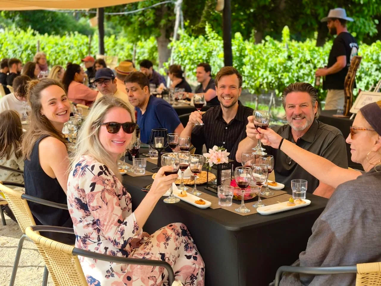 A long table of guests toasting together among the vines