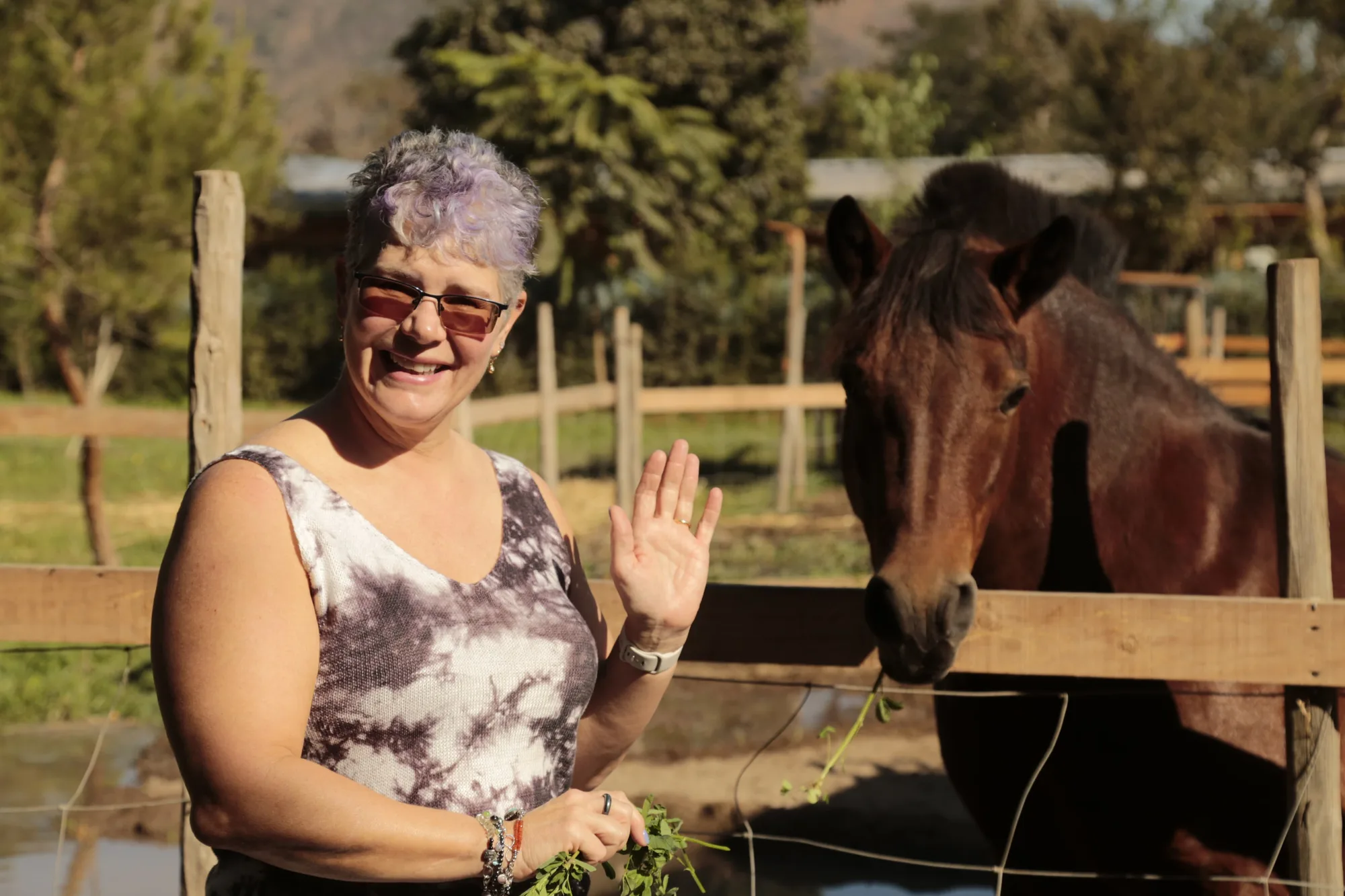 A guest feeding one of the estate's horses at golden hour