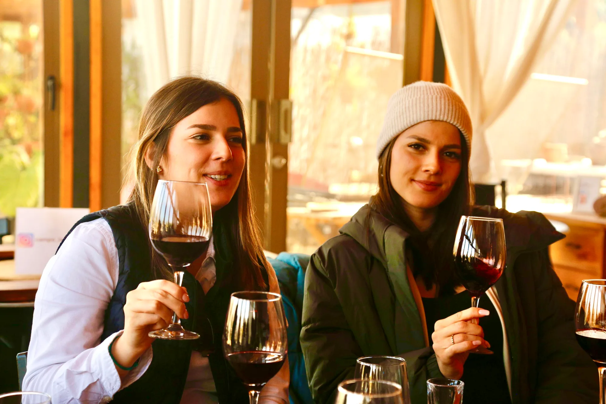 Two guests sharing a glass of red wine